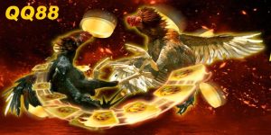 Đá Gà Thomo - Trò Chơi Cá Cược Đỉnh Cao, Kịch Tính